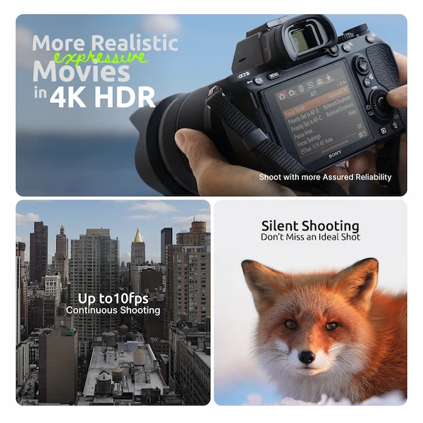 Sony Alpha A7 + DJI RS3 Mini Gimbal Combo - Image 6