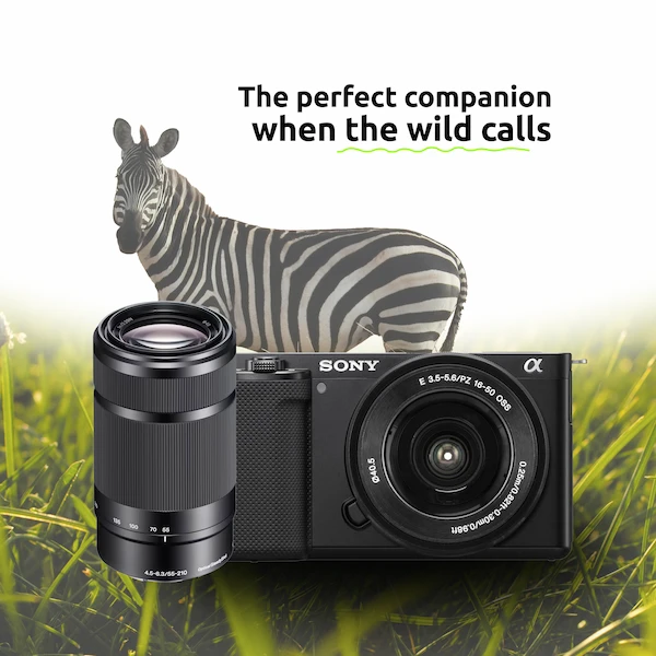 Sony ZVE10 Wildlife Combo - Image 4