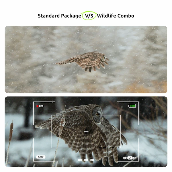 Sony ZVE10 Wildlife Combo - Image 5