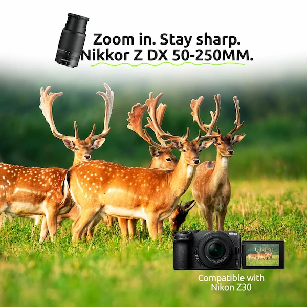 Nikkor Z DX 50-250MM - Image 3