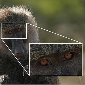 High resolution throughout the zoom range