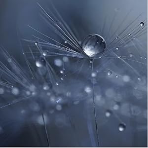 Renowned G Lens background bokeh