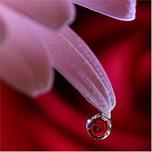 Sharp and clear without a tripod