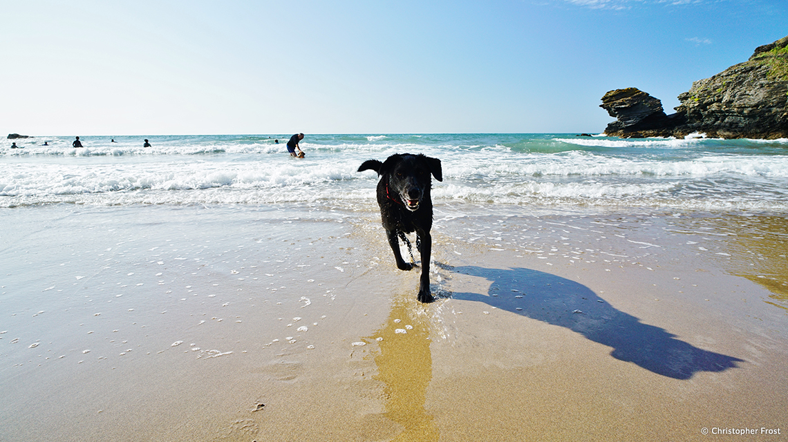 Samyang AF 18mm F2.8 FE Lens