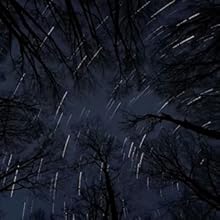 GoPro HERO11 on rent in Chandigarh 