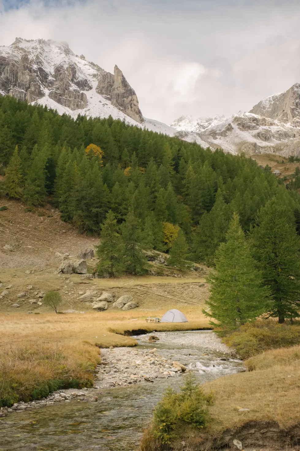 Camping Tent MH100 4-Person