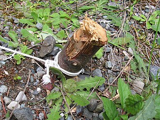 Camping Tent – 4 Person